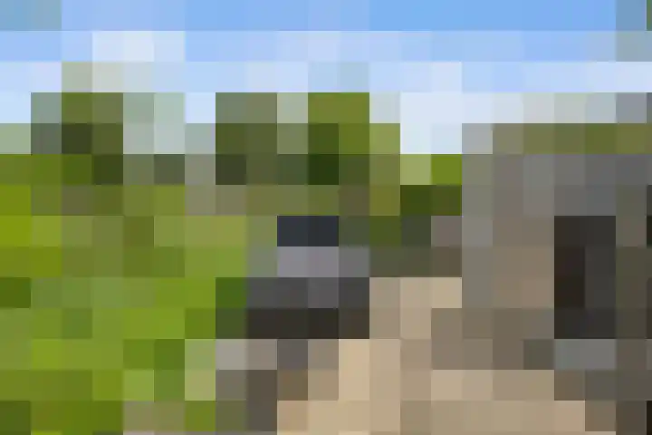 Stelleveld 5 Mijnsheerenland thumbnail 14