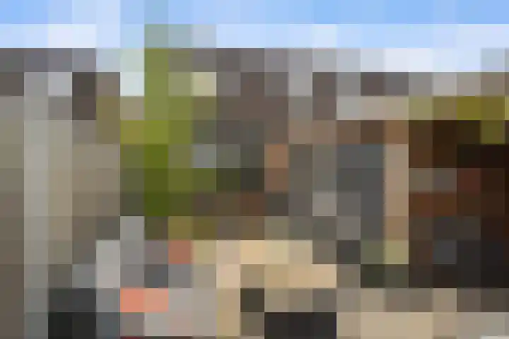 Stelleveld 5 Mijnsheerenland thumbnail 15
