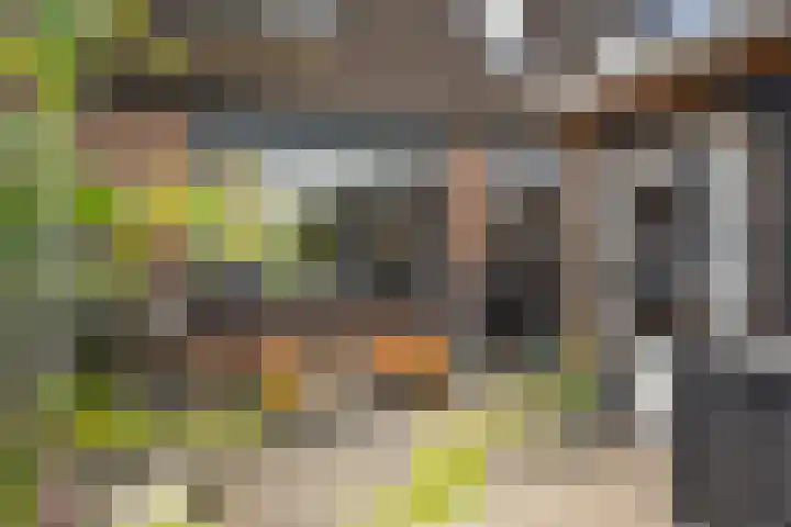 Stelleveld 5 Mijnsheerenland thumbnail 16