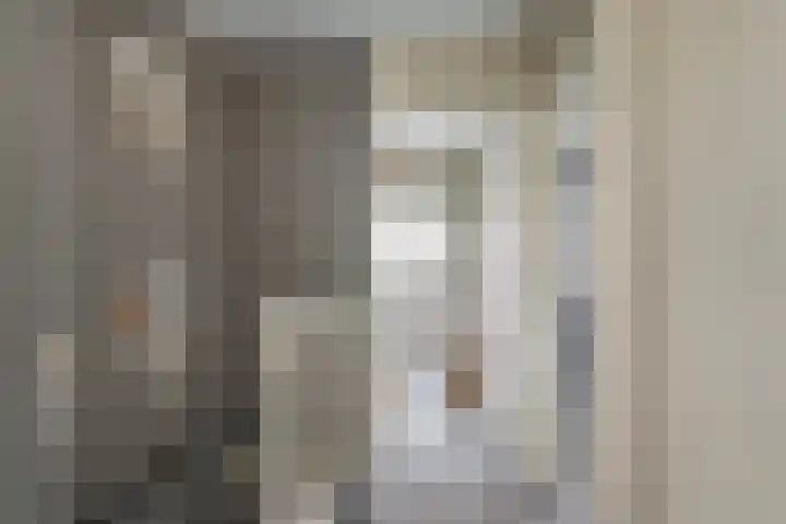 Stelleveld 5 Mijnsheerenland thumbnail 17