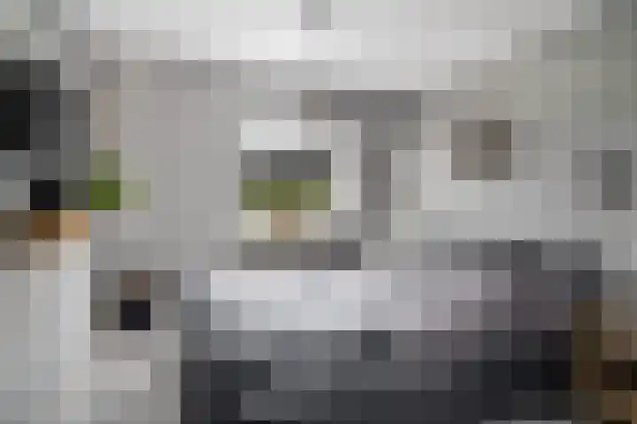 Stelleveld 5 Mijnsheerenland thumbnail 18