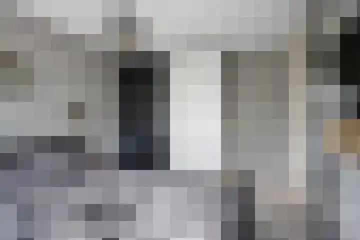 Stelleveld 5 Mijnsheerenland thumbnail 19