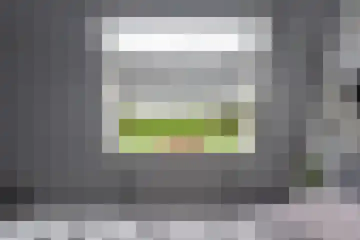 Stelleveld 5 Mijnsheerenland thumbnail 20