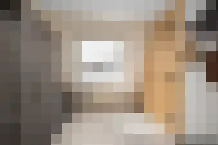Stelleveld 5 Mijnsheerenland thumbnail 21
