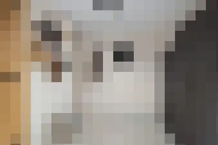 Stelleveld 5 Mijnsheerenland thumbnail 22