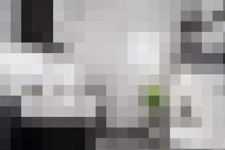 Stelleveld 5 Mijnsheerenland thumbnail 25