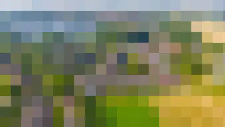 Stelleveld 5 Mijnsheerenland thumbnail 28