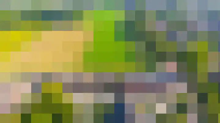 Stelleveld 5 Mijnsheerenland thumbnail 29