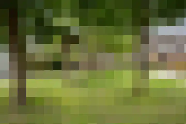 Stelleveld 5 Mijnsheerenland thumbnail 31