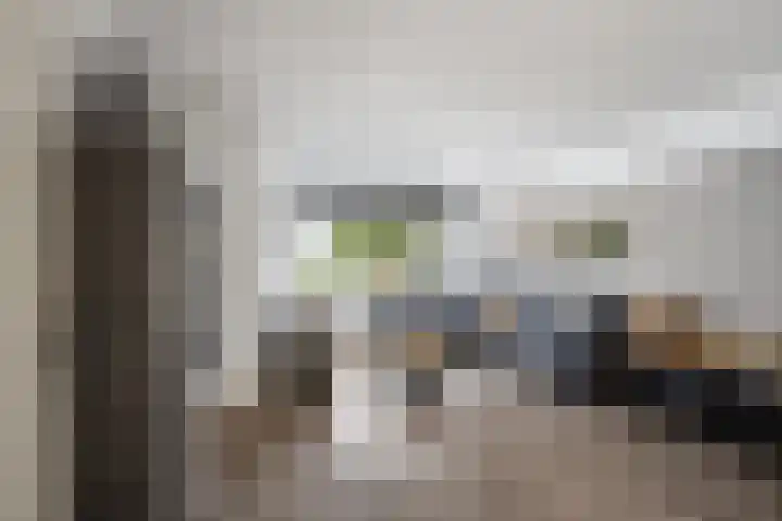 Stelleveld 5 Mijnsheerenland thumbnail 5