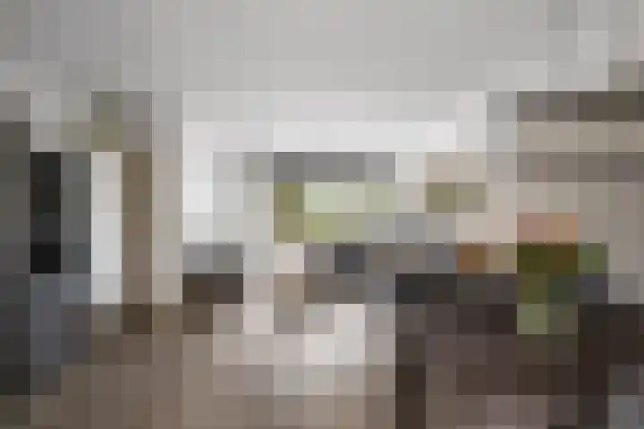 Stelleveld 5 Mijnsheerenland thumbnail 6