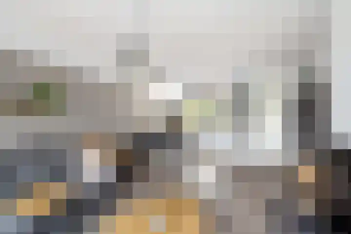 Stelleveld 5 Mijnsheerenland thumbnail 7