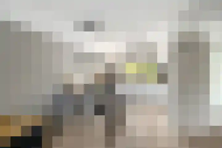 Stelleveld 5 Mijnsheerenland thumbnail 8