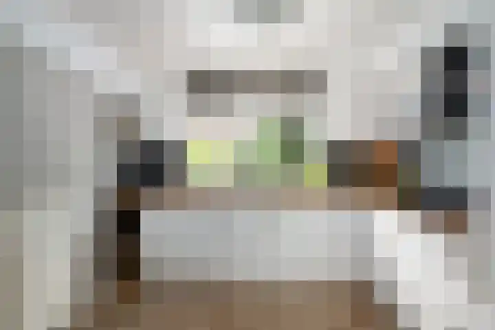 Stelleveld 5 Mijnsheerenland thumbnail 9
