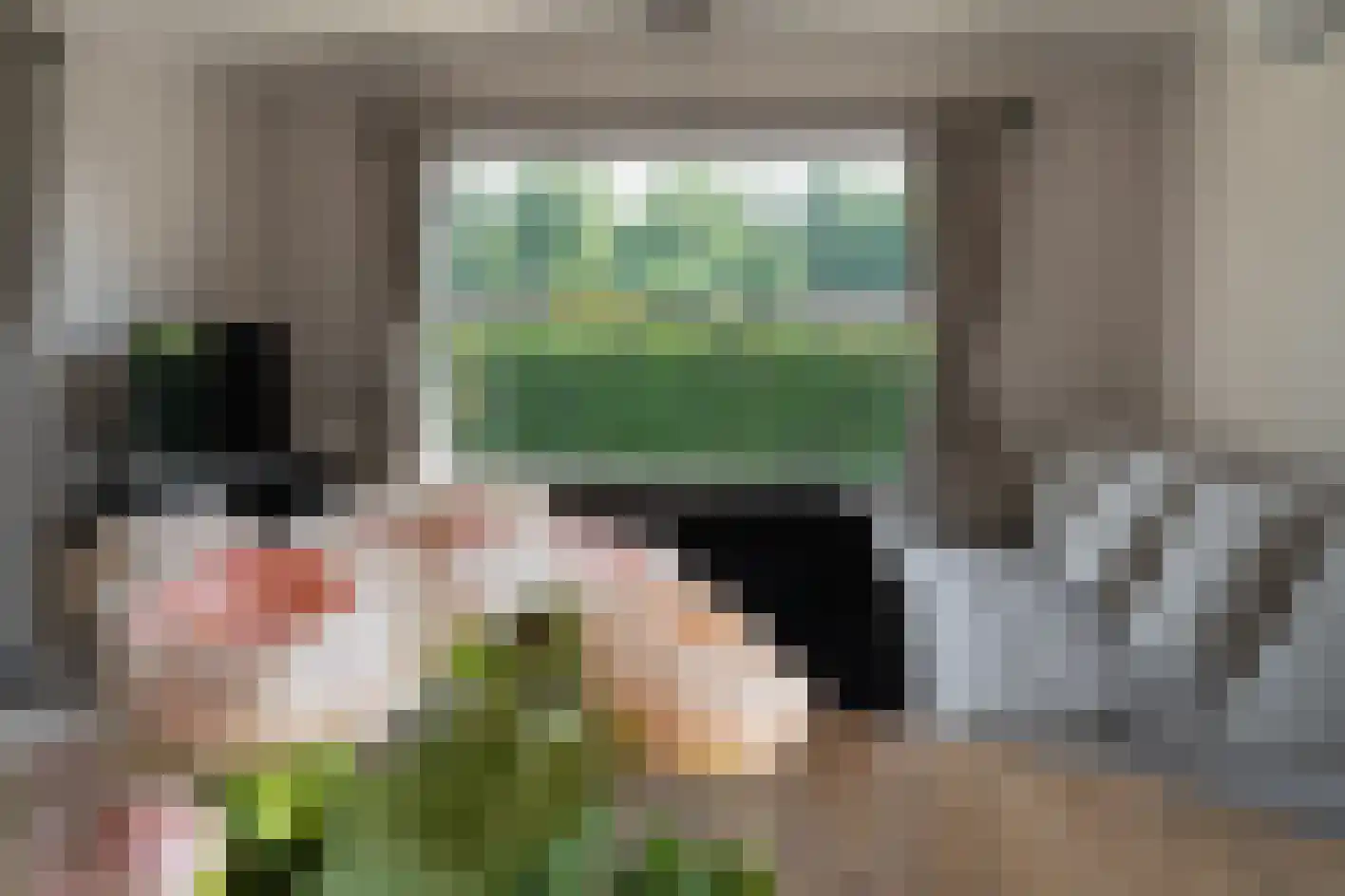 Stelleweg 1 E Heinkenszand thumbnail 10