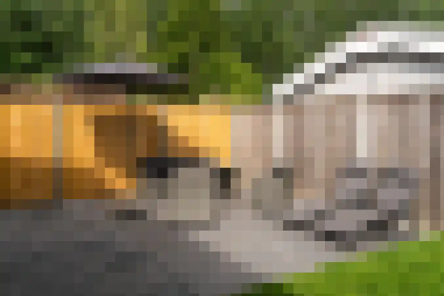 Stelleweg 1 E Heinkenszand thumbnail 21