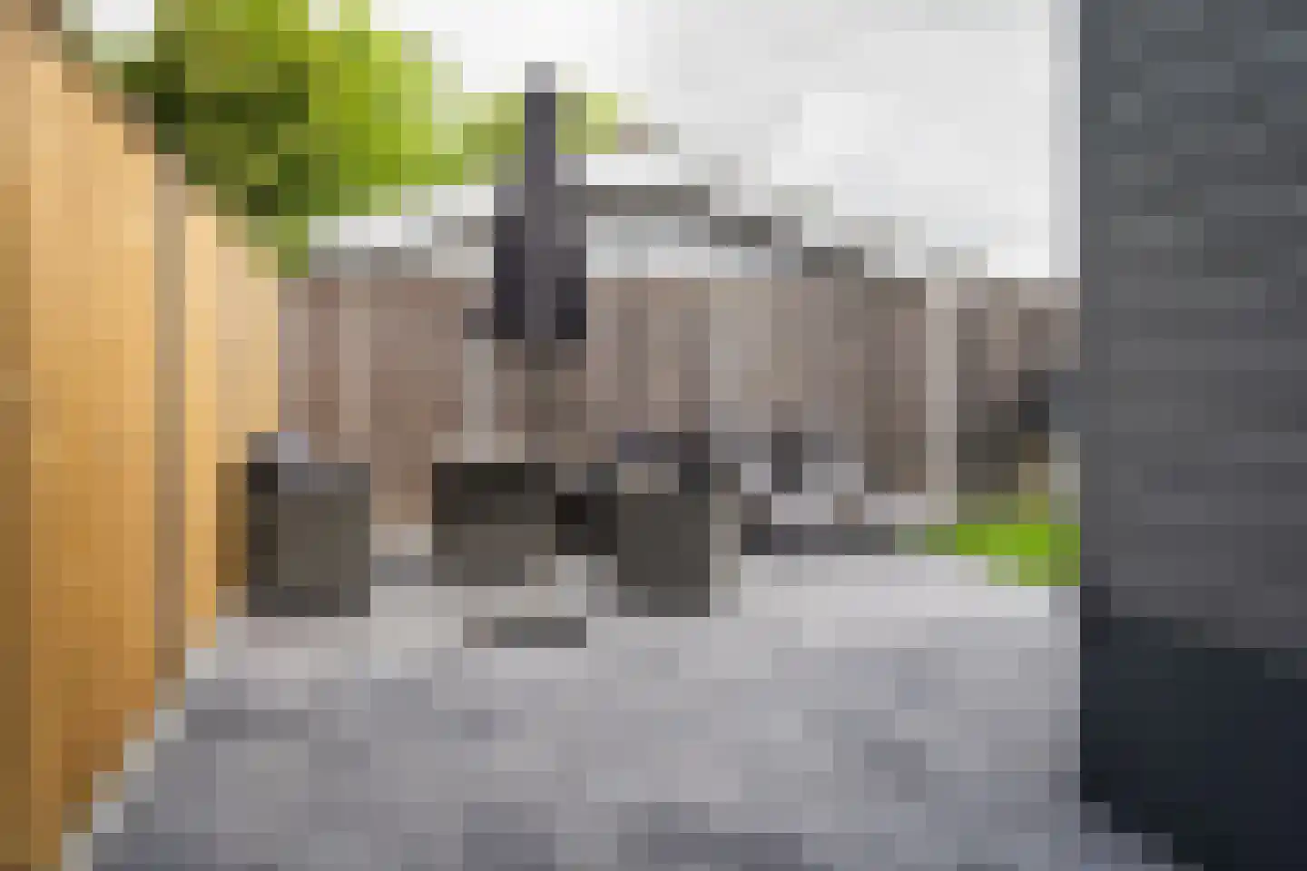 Stelleweg 1 E Heinkenszand thumbnail 22
