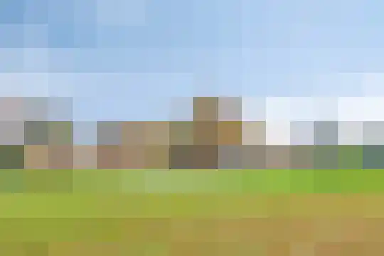 Stelleweg 1 E Heinkenszand thumbnail 25