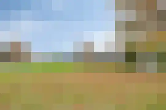 Stelleweg 1 E Heinkenszand thumbnail 26