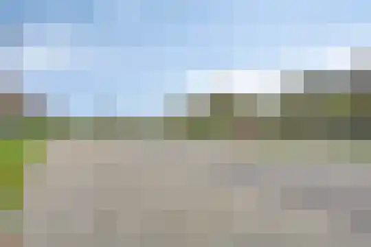 Stelleweg 1 E Heinkenszand thumbnail 29