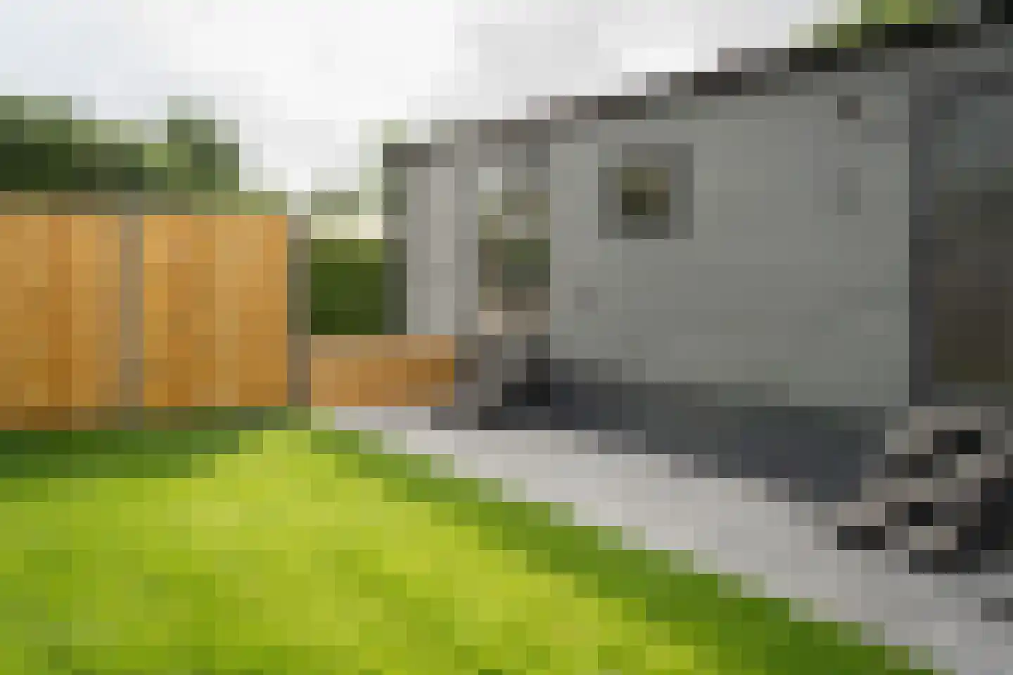 Stelleweg 1 E Heinkenszand thumbnail 6