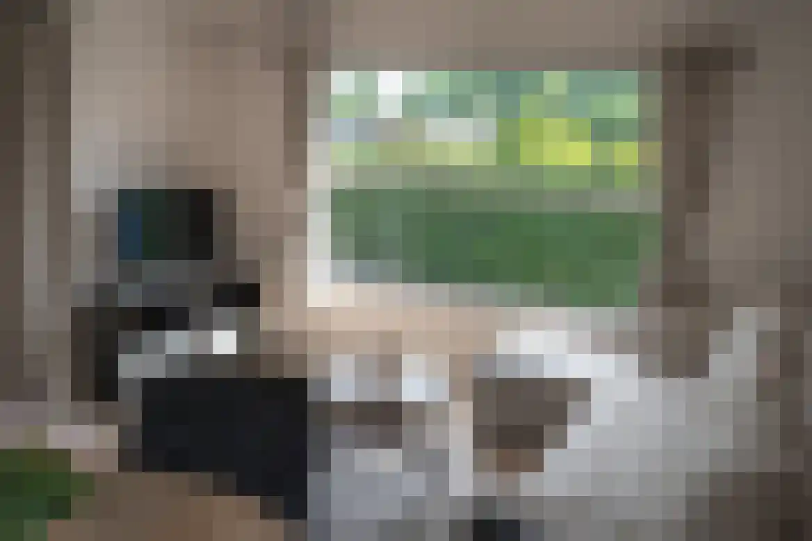 Stelleweg 1 E Heinkenszand thumbnail 8
