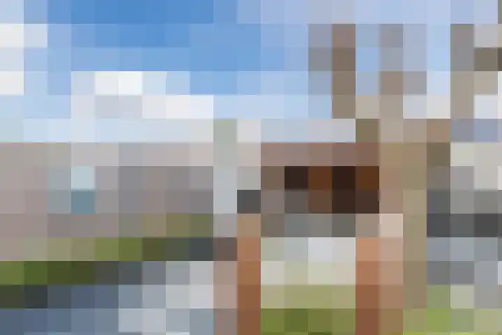 Stelleweg 11 Bergen op Zoom thumbnail 31