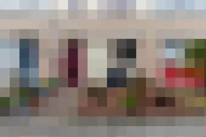 Stelleweg 11 Bergen op Zoom thumbnail 37