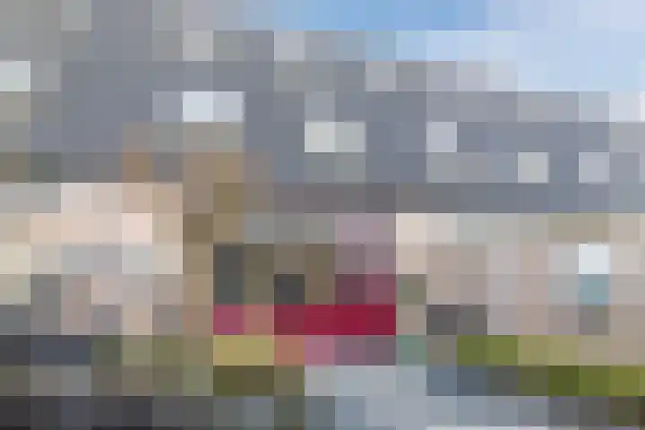 Stelleweg 11 Bergen op Zoom thumbnail 38