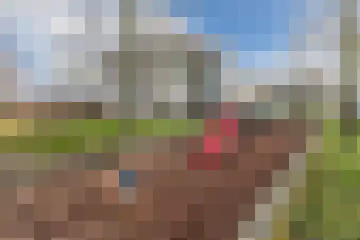 Stelleweg 11 Bergen op Zoom thumbnail 39