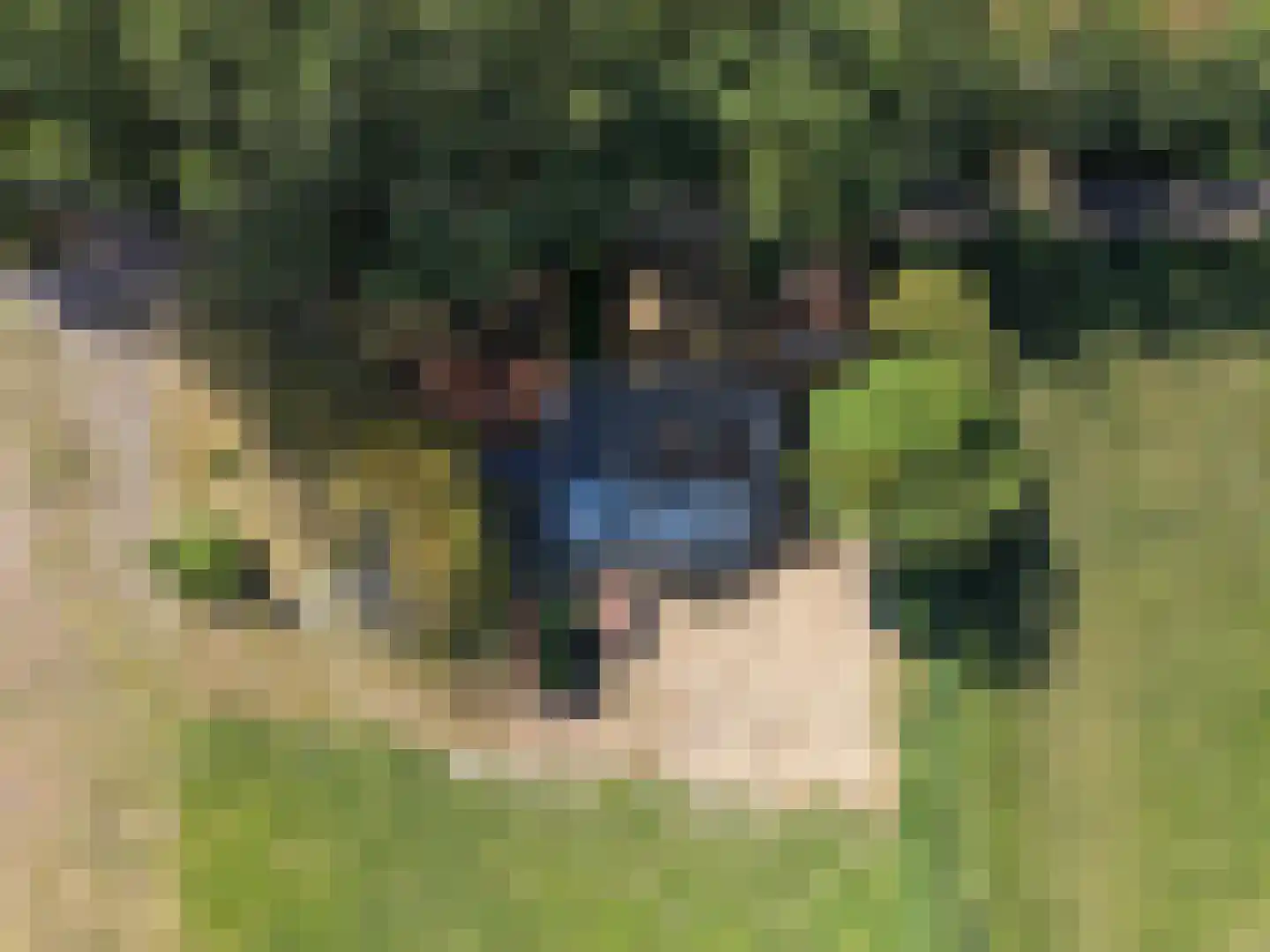 Stelleweg 2 Ouddorp thumbnail 12