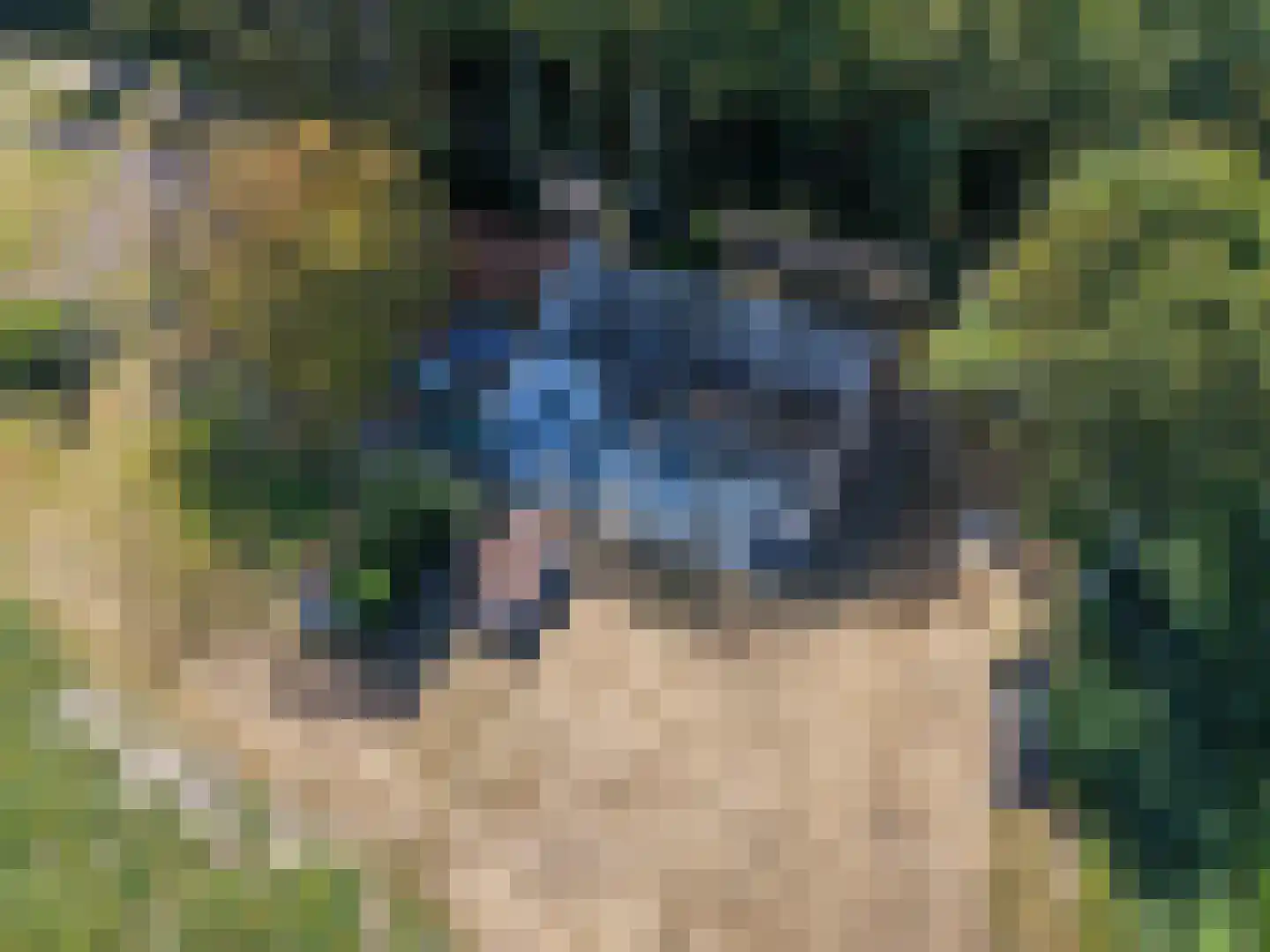 Stelleweg 2 Ouddorp thumbnail 13