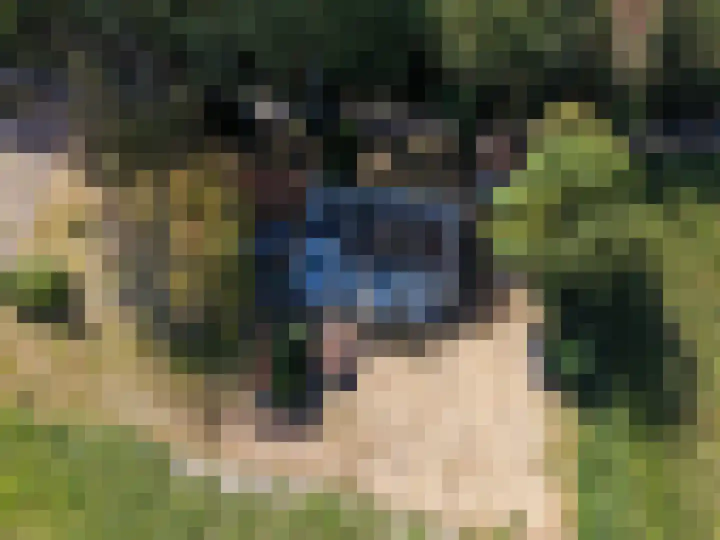 Stelleweg 2 Ouddorp thumbnail 14