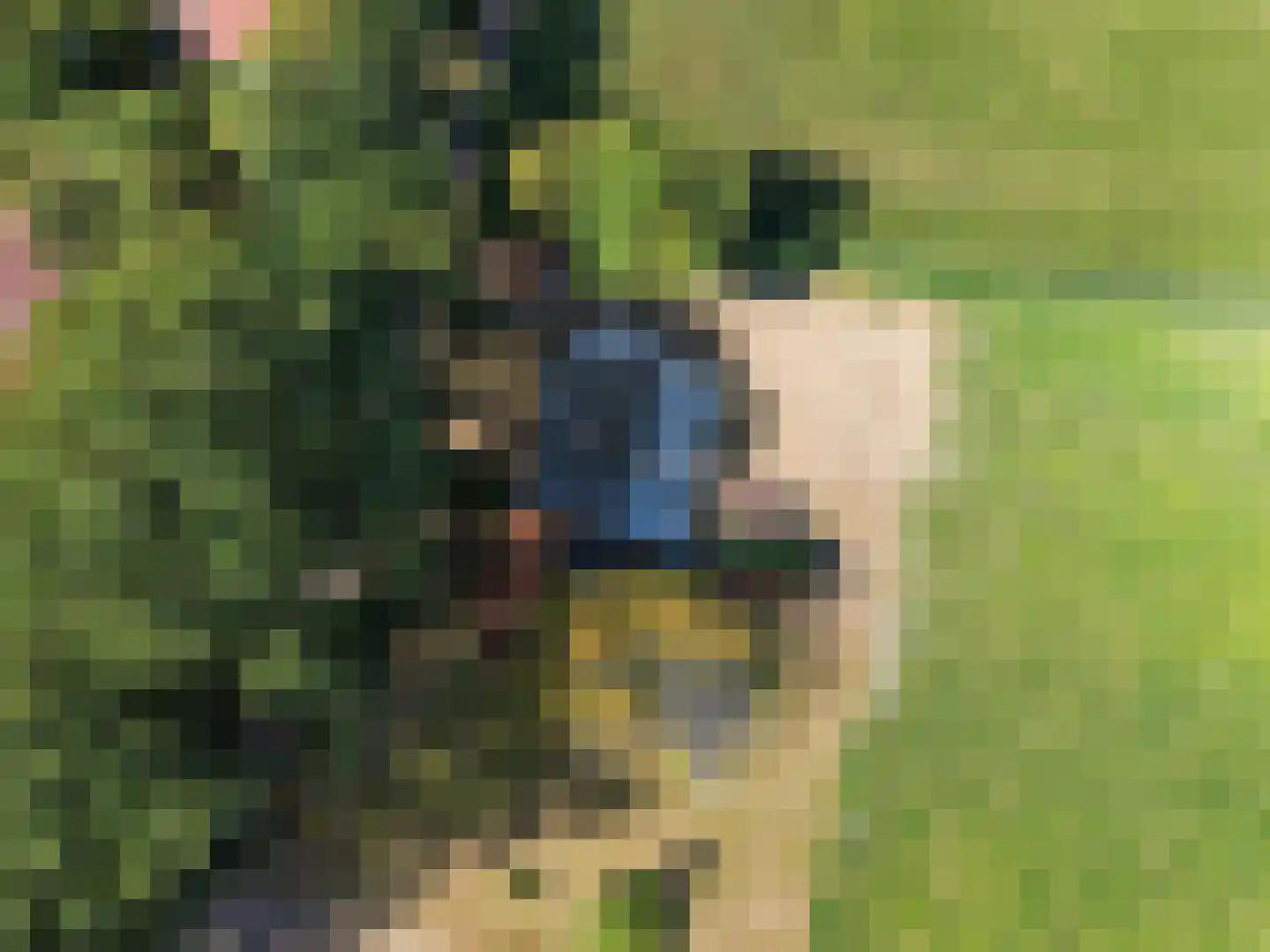 Stelleweg 2 Ouddorp thumbnail 15
