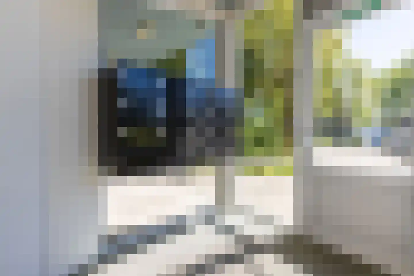 Stelleweg 39 Bergen op Zoom thumbnail 31