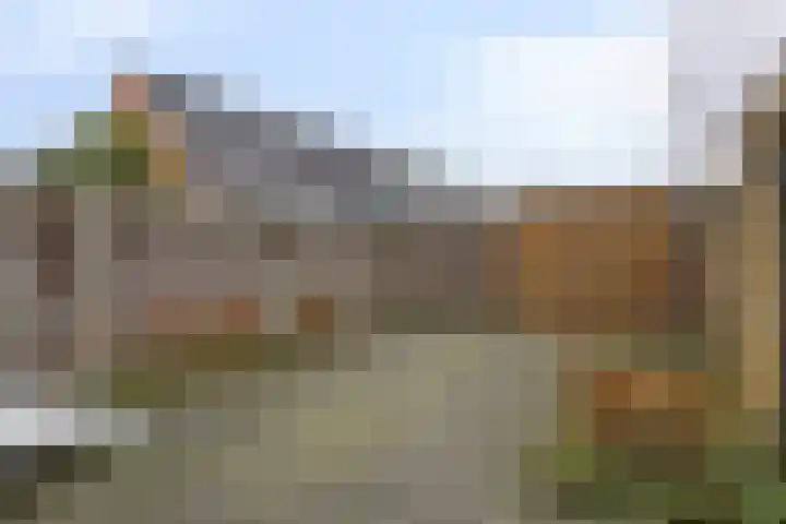 Stelleweg 72 Bergen op Zoom thumbnail 19