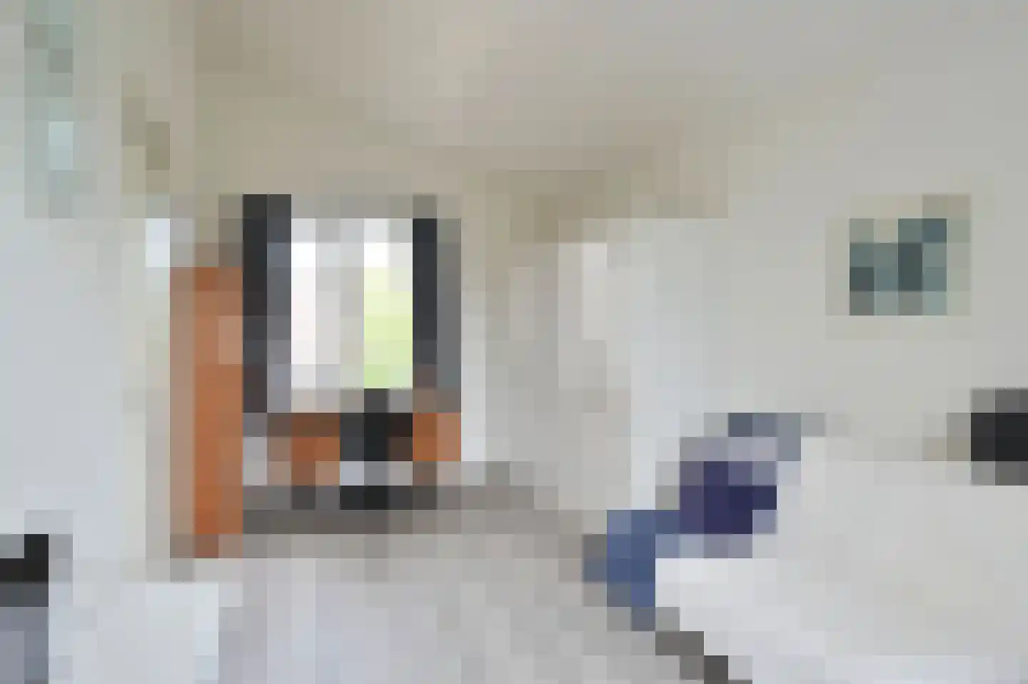Stelling 10 De Kwakel thumbnail 14