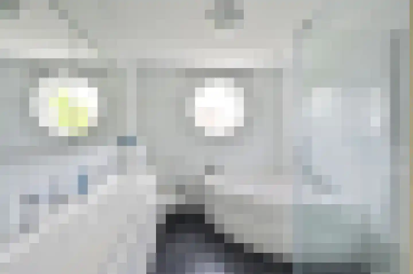 Stelling 10 De Kwakel thumbnail 16