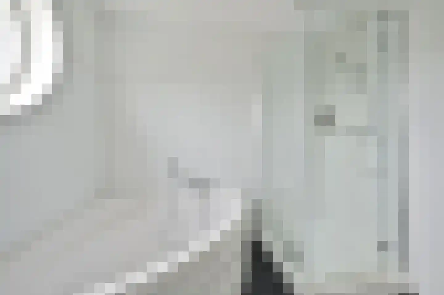 Stelling 10 De Kwakel thumbnail 17