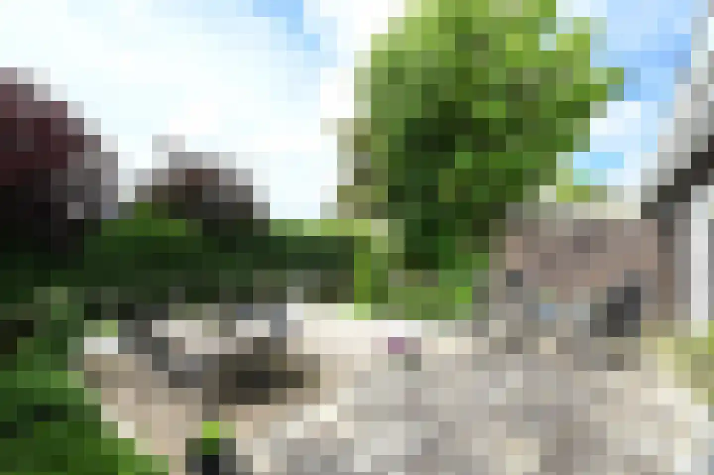 Stelling 10 De Kwakel thumbnail 22