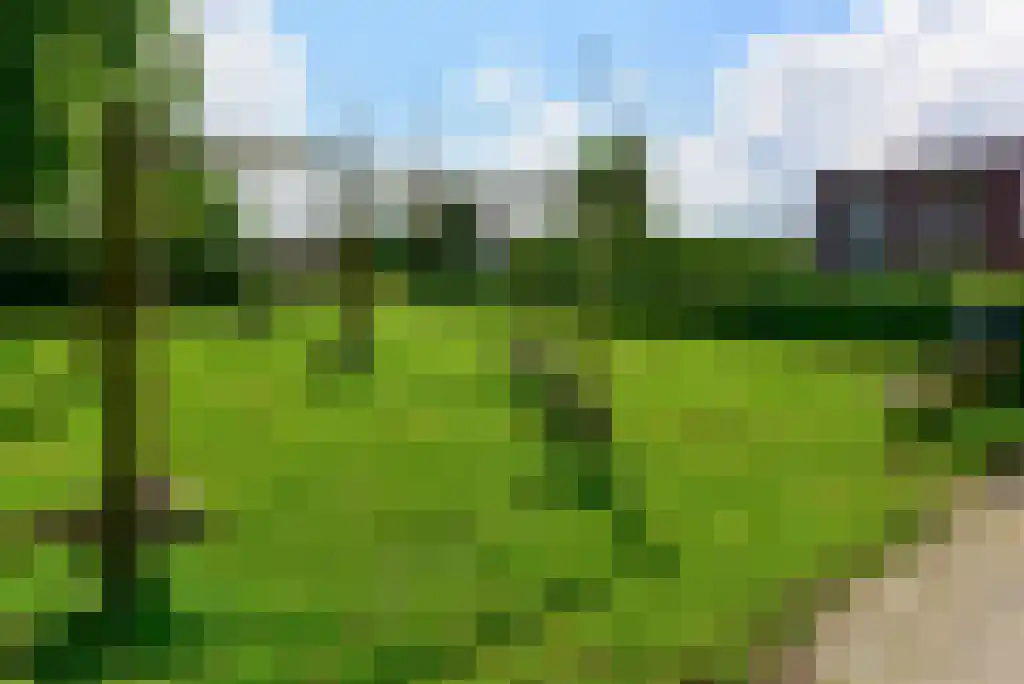 Stelling 10 De Kwakel thumbnail 28