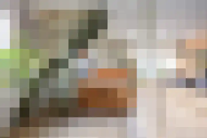 Stelling 10 Slochteren thumbnail 15