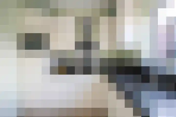Stelling 10 Slochteren thumbnail 17