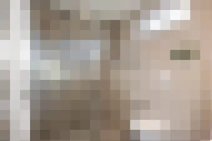 Stelling 10 Slochteren thumbnail 28