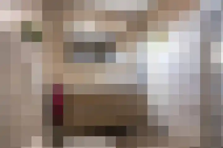 Stelling 10 Slochteren thumbnail 29