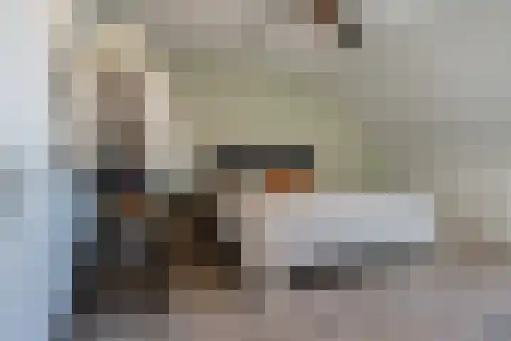 Stelling 2 Blauwestad thumbnail 28