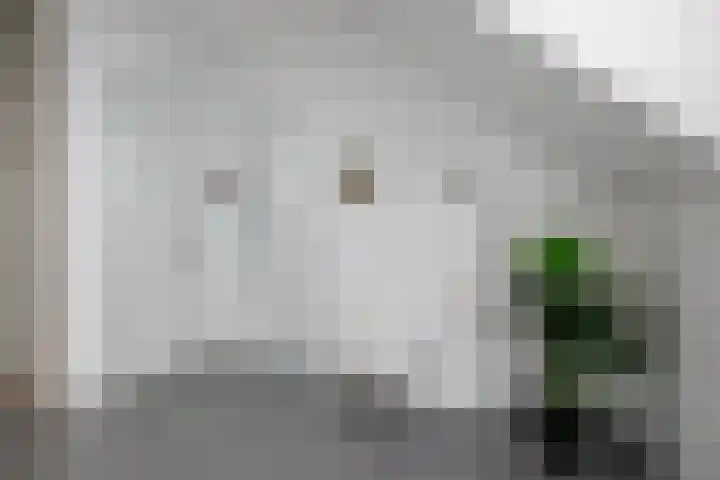 Stelling 2 Blauwestad thumbnail 35