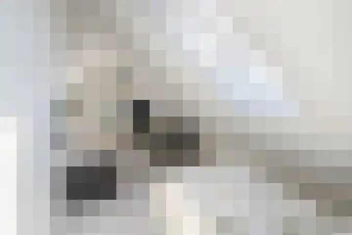 Stelling 2 Blauwestad thumbnail 40
