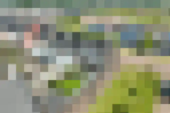 Stelling 2 Blauwestad thumbnail 62