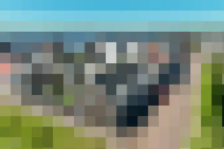 Stelling 2 Blauwestad thumbnail 63